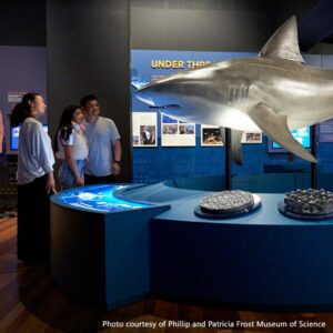 A group of people standing around an exhibit.