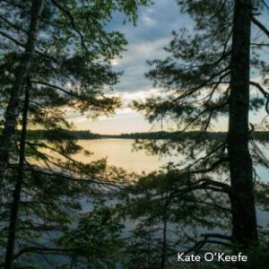 A lake with trees and water in the background