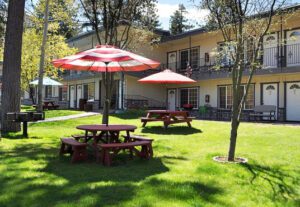 A picnic table and umbrella in the grass.