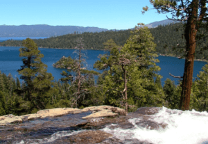 A view of trees and water from the top of a hill.