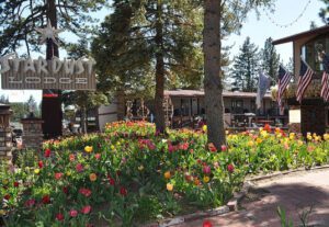 A park with trees and flowers in the foreground.