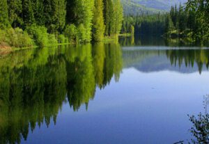 A body of water with trees in the background