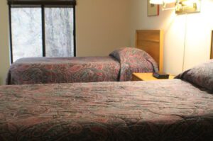 Two twin beds with patterned bedding.