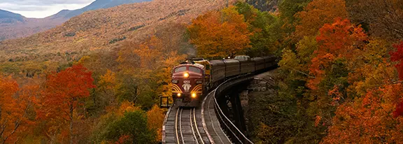 Train travels through fall foliage.