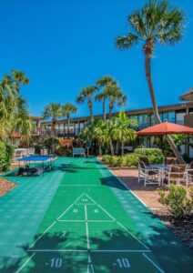 Green shuffleboard court with palm trees.