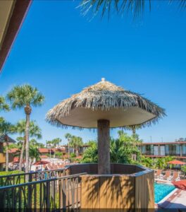 Palm tree umbrella over pool deck.