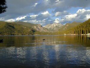 Mountain lake with a single duck.