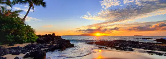 Tropical beach sunset with palm tree.