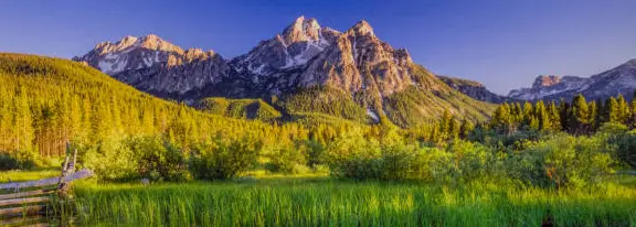 Mountain range with green grass and trees.