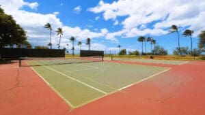 Outdoor tennis court with palm trees and sky.