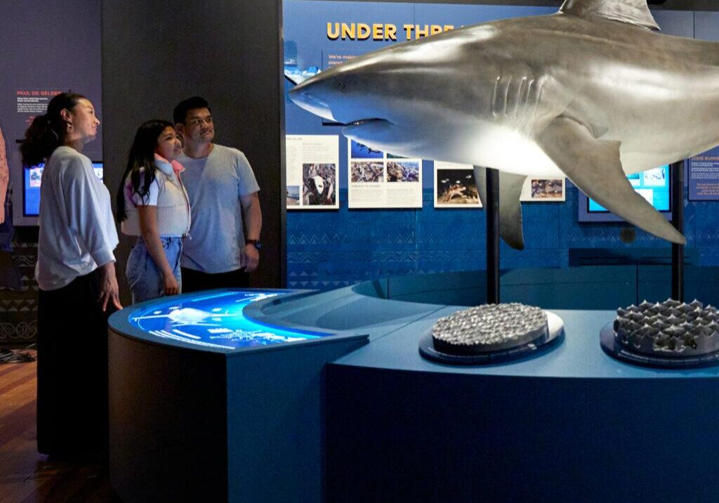 A group of people standing around an exhibit.