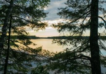 A lake with trees and water in the background